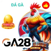 h88 Game 05